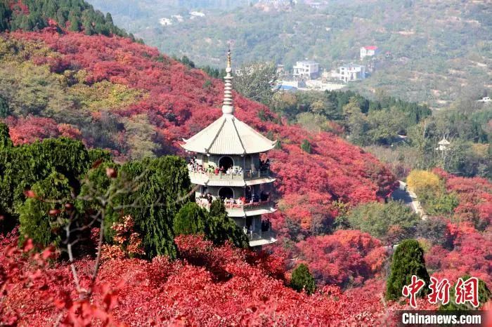 「中国新闻网」五一出游？这些“新规”需要注意！