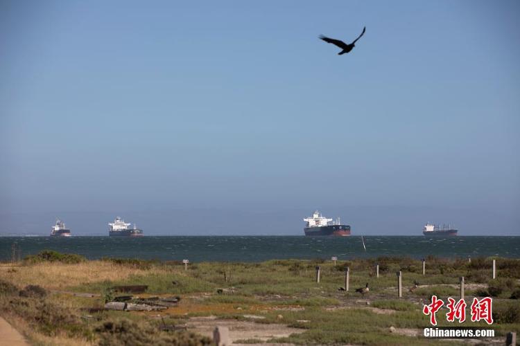 中国新闻网@2000万桶原油无处可卸，30余艘油轮停泊美加州沿海