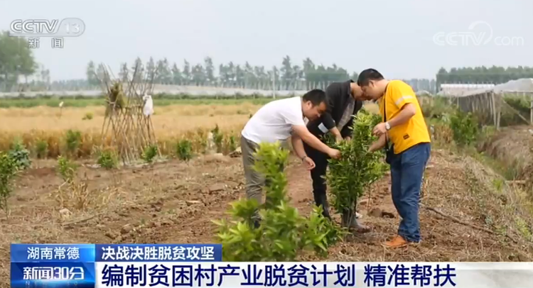 央视新闻客户端户有致富门路，决战决胜脱贫攻坚丨湖南常德：村有增收产业