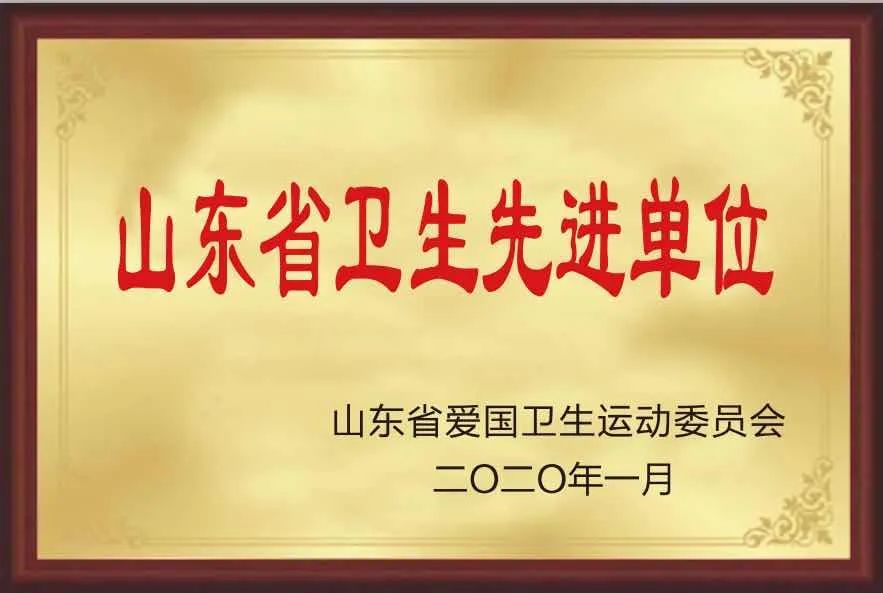 山東省精神文明建設委員會下發《關於命名錶彰2019年度省級文明單位