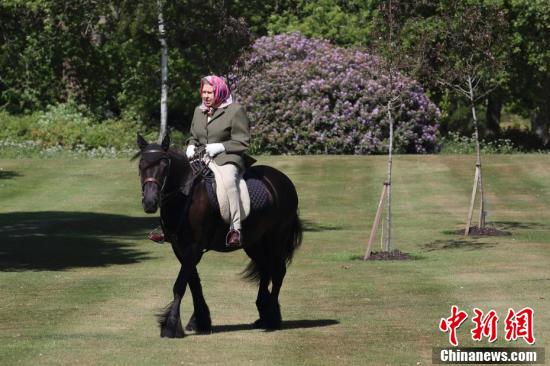 中国新闻网英女王首次户外露面，隔离数月后