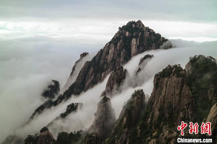 中国新闻网安徽黄山流云泻雾景色壮观