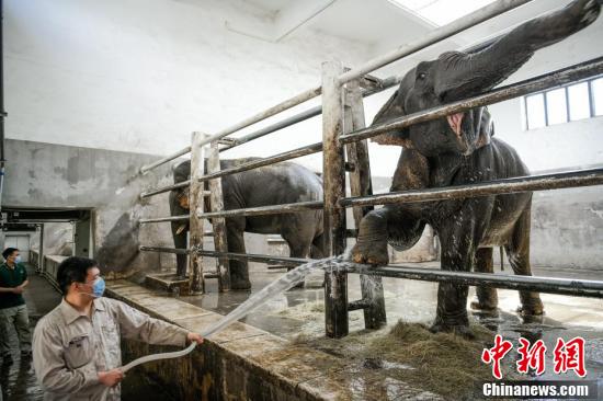 天津高温来袭天津高温来袭 动物清凉度夏