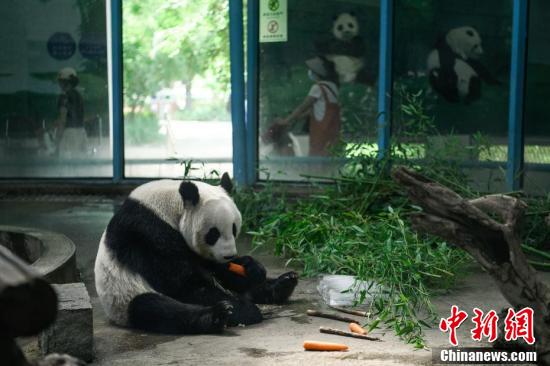 天津高温来袭天津高温来袭 动物清凉度夏