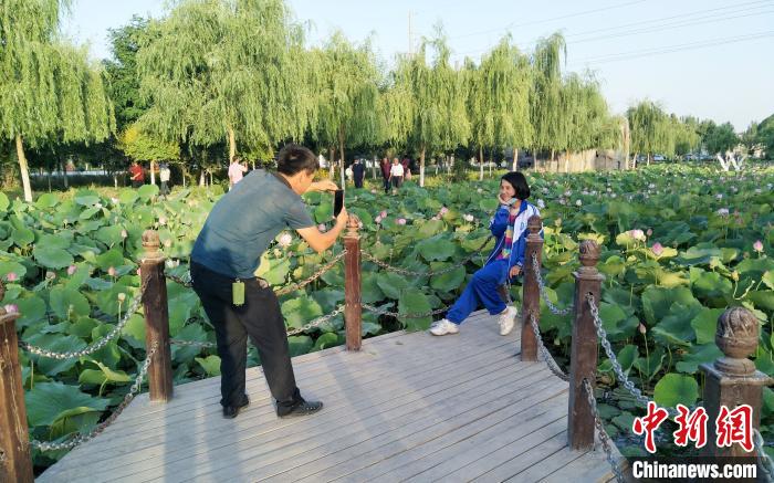 荷花新疆美丽乡村为民众幸福生活“加码”