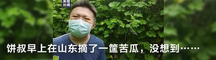 1071万考生！高考如何防疫？要戴口罩吗？权威回应来了1071万考生！高考如何防疫？要戴口罩吗？权威回应来了