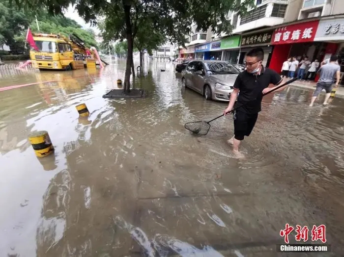 【】今年暴雨为啥偏多？持续到何时？气象专家解读