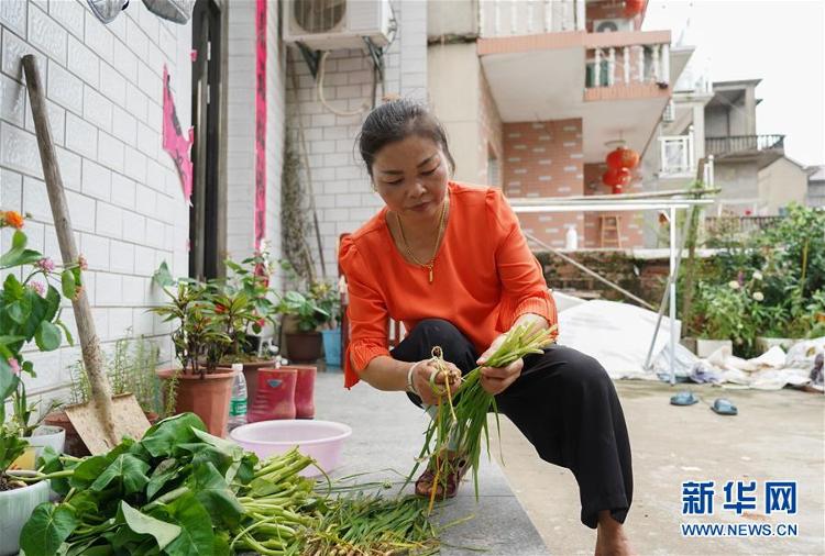 新华网|“我们不只会跳广场舞，还能上堤保家园”——防汛“阿姨团”的一天