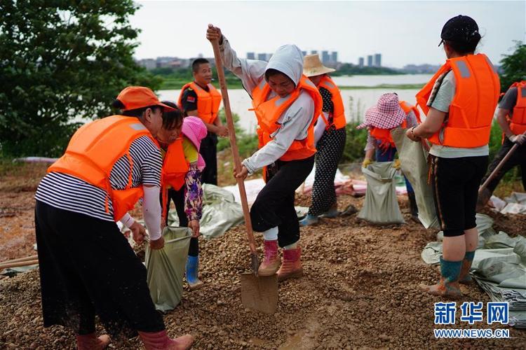 新华网|“我们不只会跳广场舞，还能上堤保家园”——防汛“阿姨团”的一天