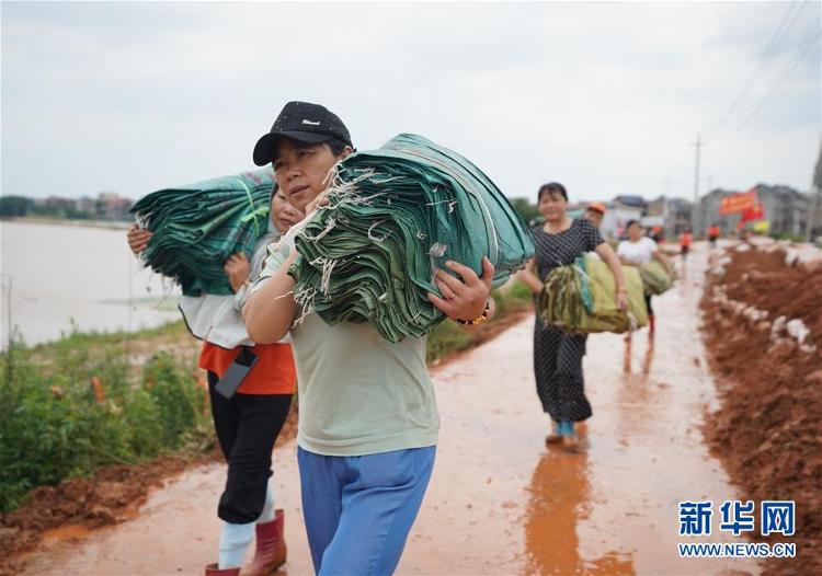 新华网|“我们不只会跳广场舞，还能上堤保家园”——防汛“阿姨团”的一天