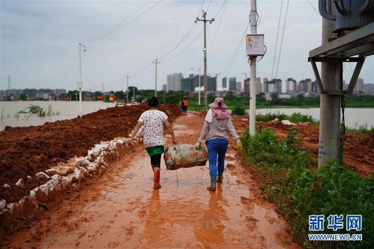 新华网|“我们不只会跳广场舞，还能上堤保家园”——防汛“阿姨团”的一天