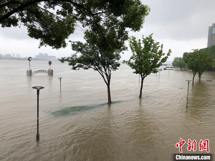 长江|江苏升级石臼湖秦淮河等洪水预警 预测水位继续上涨