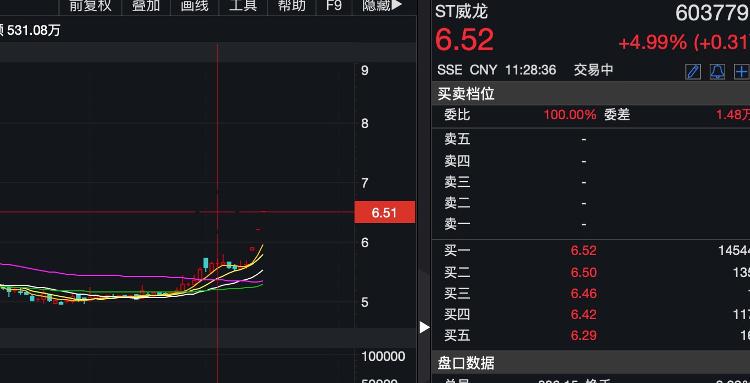 大众报业·海报新闻|财鑫闻丨实控人股权被拍卖丢掉公司控制权，ST威龙能否走出困境？