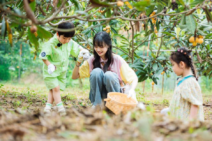 北青网|郑爽戴发夹温婉可人 采枇杷喂萌娃画面温馨