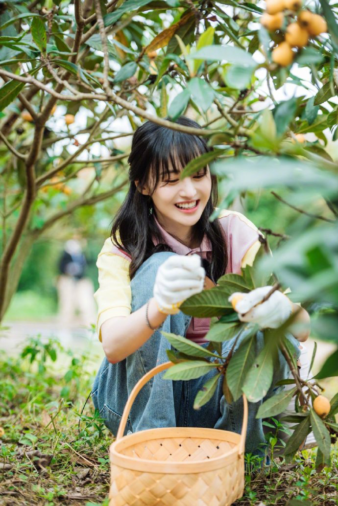 北青网|郑爽戴发夹温婉可人 采枇杷喂萌娃画面温馨