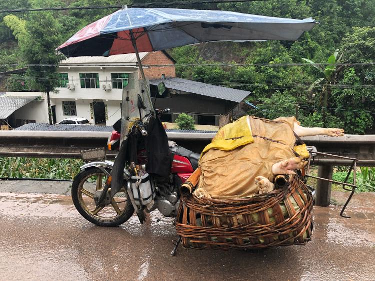 海报直击丨重庆开州强降水致多处滑坡：泥水冲破窗涌进村民厨房，出行主干道被堵|海报直击丨重庆开州强降水致多处滑坡：泥水冲破窗涌进村民厨房，出行主干道被堵