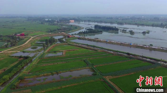 湖北第三大湖泊长湖退出保证水位|湖北第三大湖泊长湖退出保证水位