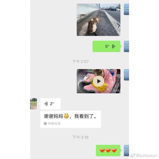 网易娱乐|孙俪与女儿小花救助流浪猫 发文呼吁不要再有伤害