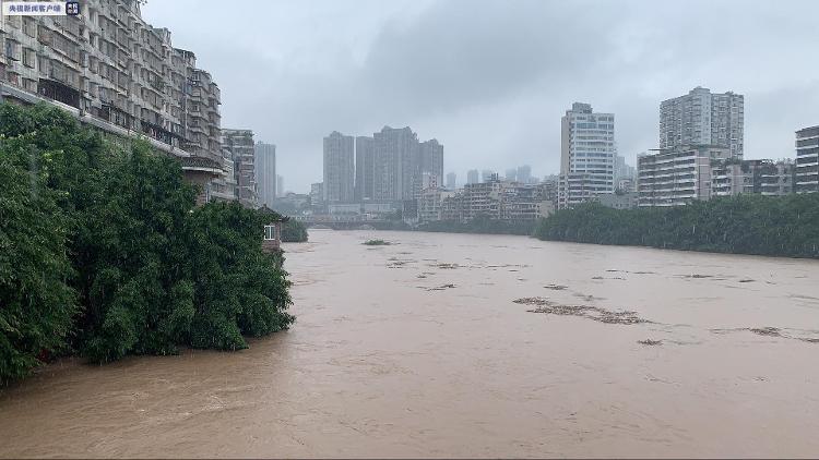 央视新闻客户端|过去24小时重庆6区县出现暴雨 4河流超警2河流超保