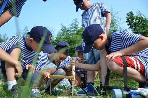 学生|北京：教育系统不组织不接待夏令营等聚集性活动