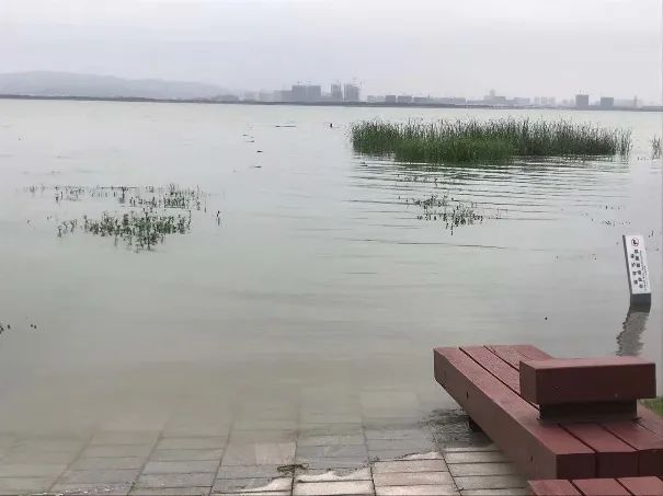 这个洪涝灾害易发地区，靠什么抵御住了7轮雷暴雨？|这个洪涝灾害易发地区，靠什么抵御住了7轮雷暴雨？