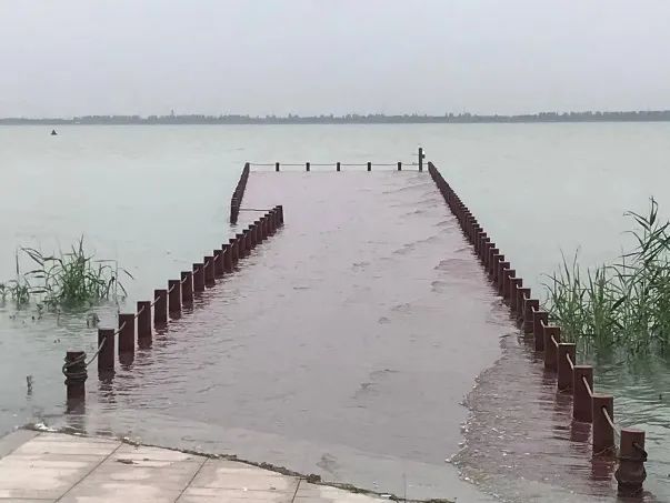 这个洪涝灾害易发地区，靠什么抵御住了7轮雷暴雨？|这个洪涝灾害易发地区，靠什么抵御住了7轮雷暴雨？