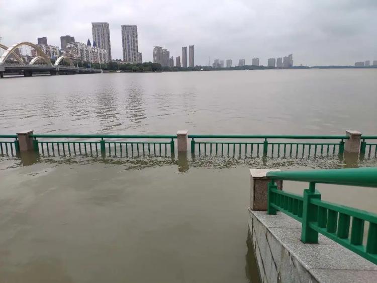 这个洪涝灾害易发地区，靠什么抵御住了7轮雷暴雨？|这个洪涝灾害易发地区，靠什么抵御住了7轮雷暴雨？