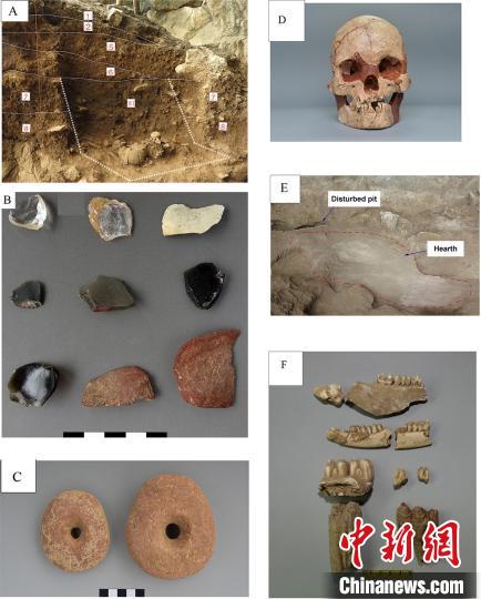 中国新闻网|中国学者在广西研究发现1.6万年前稻属植硅体