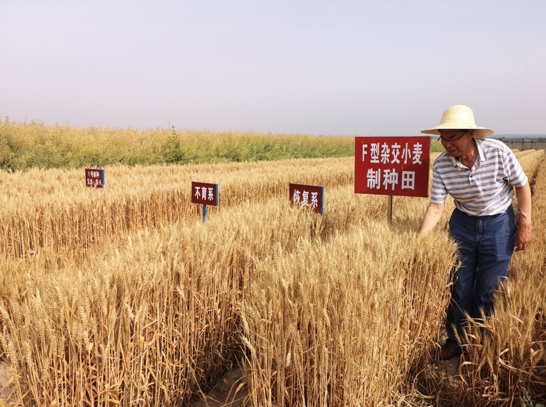 经济日报微信公号|夏粮少收千万吨？粮食危机要来了？解答来了