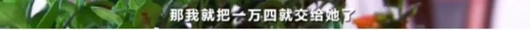 客服|警惕！朋友圈“9块9”网购水果，有人被坑了40万元