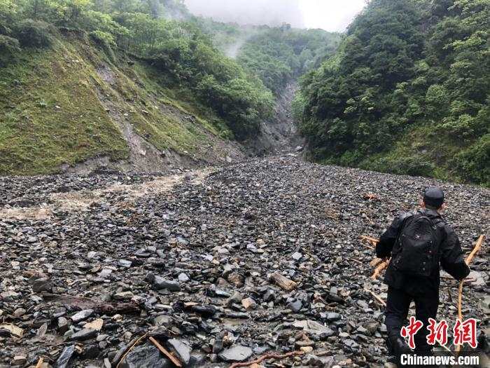 中国新闻网|四川卧龙：暴雨泥石流袭击致交通中断，人员及大熊猫暂时无恙