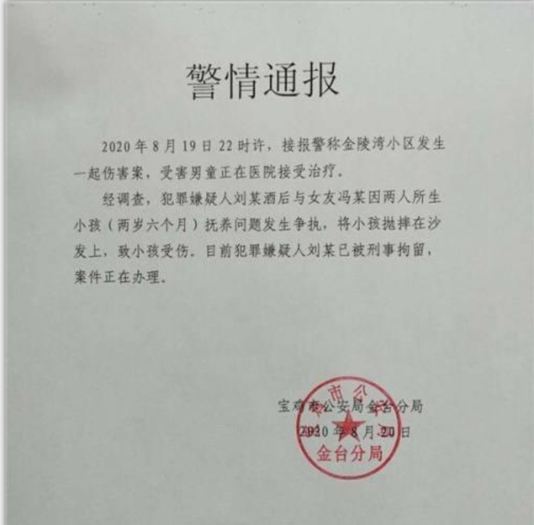 海报视频丨陕西一幼童被父亲抛摔致死 律师：社会影响极坏，根据刑法最高可判死刑