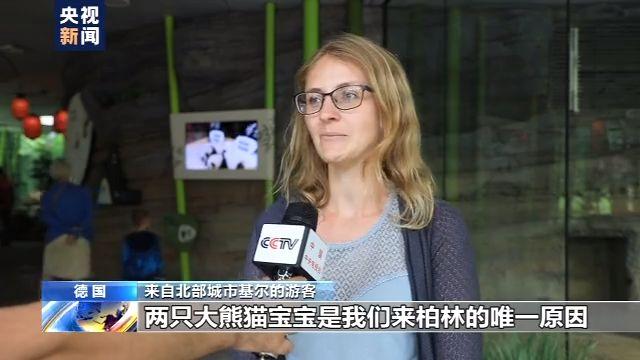 大熊猫|旅美大熊猫成功产崽 美国民众：黑暗中唯一的好消息