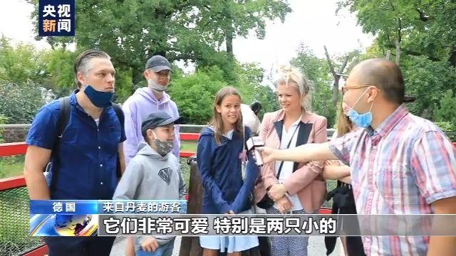 大熊猫|旅美大熊猫成功产崽 美国民众：黑暗中唯一的好消息