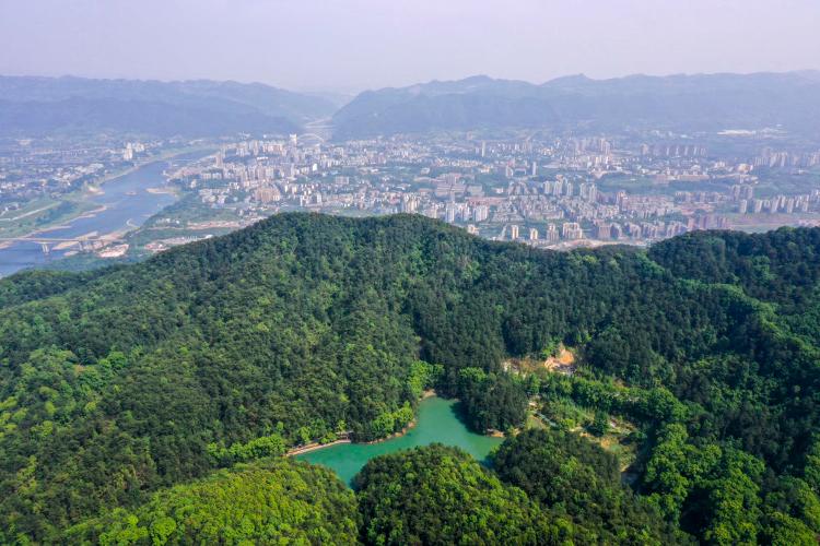 走向我们的小康生活|从“靠山吃山”到“养山富山”——重庆缙云山的“绿色辩证法”