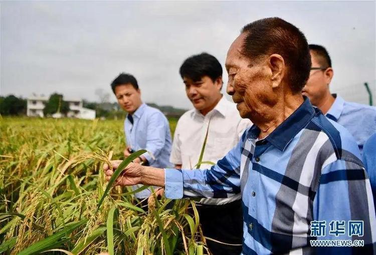 袁隆平|今天是袁隆平90岁生日！昨天的他超级可爱……