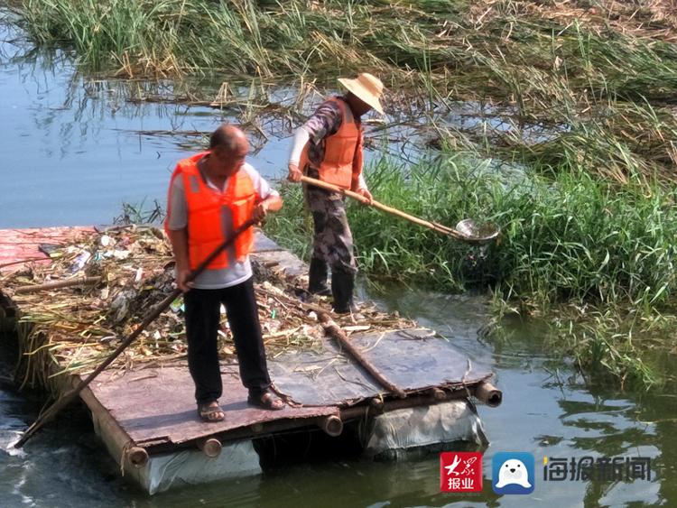 河道圖片膠州市設(shè)備局環(huán)衛(wèi)處河流“美容師”：用汗水防守河流潔白(圖4)