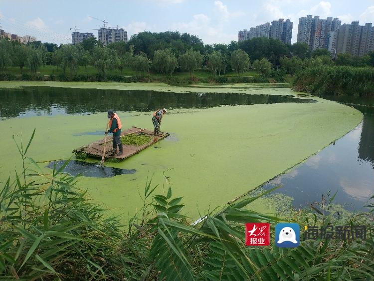 河道圖片膠州市設(shè)備局環(huán)衛(wèi)處河流“美容師”：用汗水防守河流潔白(圖3)