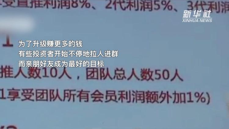 回报|“网上养猫”原是传销骗局 “高额回报”陷阱需警惕