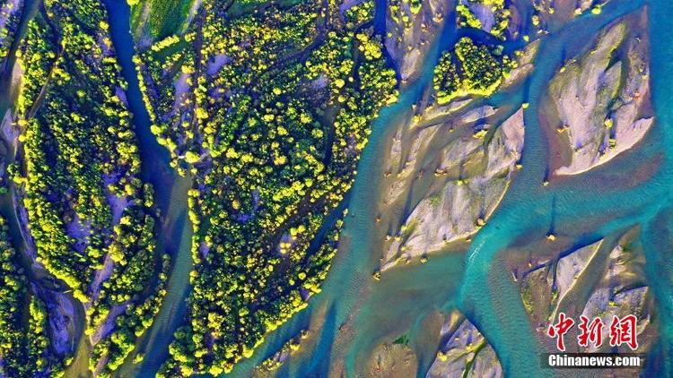 初秋航拍新疆南部湿地“大地的色彩”