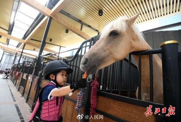 【】武汉22所小学试点马术课：全部免费 3年内覆盖全市