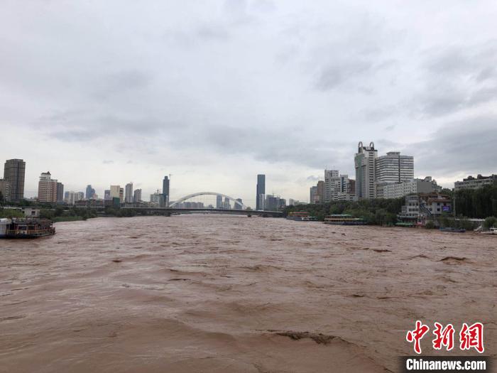 黄河|中国黄河流域生态趋好九省区沿黄“植绿”