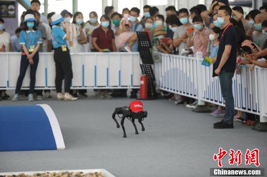 中国新闻网|能够用“四肢”行走的智能机器人亮相服贸会