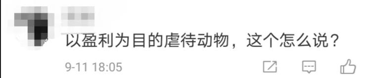 中国之声微信公号|视频博主强迫宠物当大胃王，网友怒了