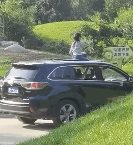 太危险！北京野生动物园内一女孩坐车顶游园