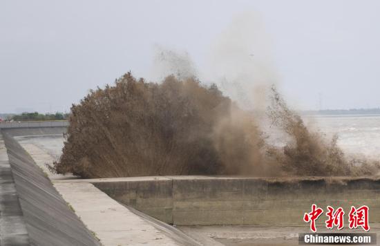 【央视新闻客户端】钱塘江大潮巨浪奔涌 场面壮观