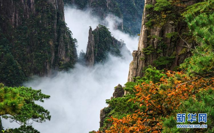 新华网客户端|假日黄山秋意浓 云海缥缈迷游客