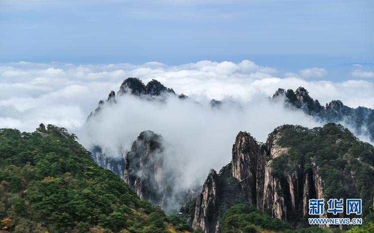 新华网客户端|假日黄山秋意浓 云海缥缈迷游客