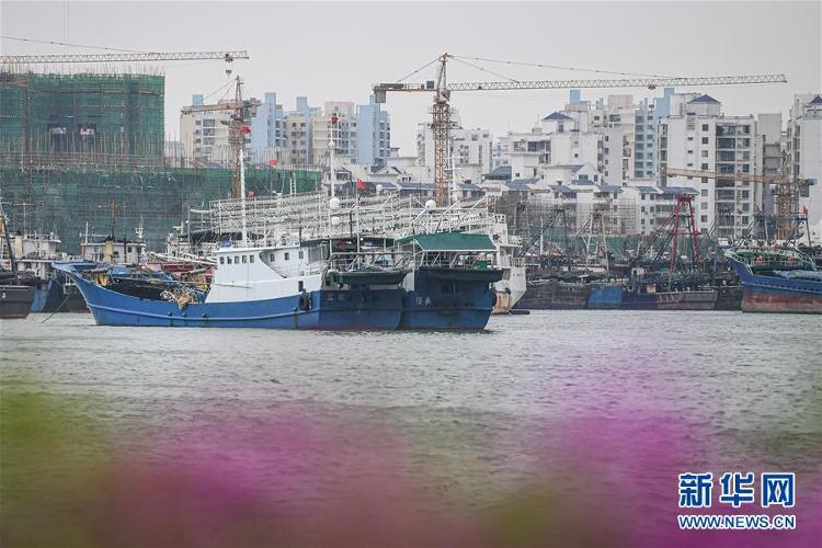 【大众报业·海报新闻】台风“浪卡”逼近海南 船只进港避风