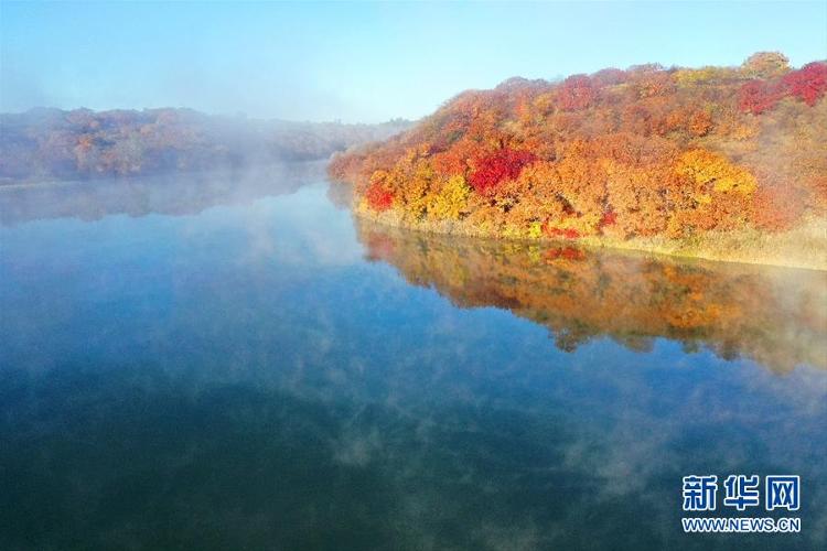 【央视网】五彩斑斓的科尔沁秋景